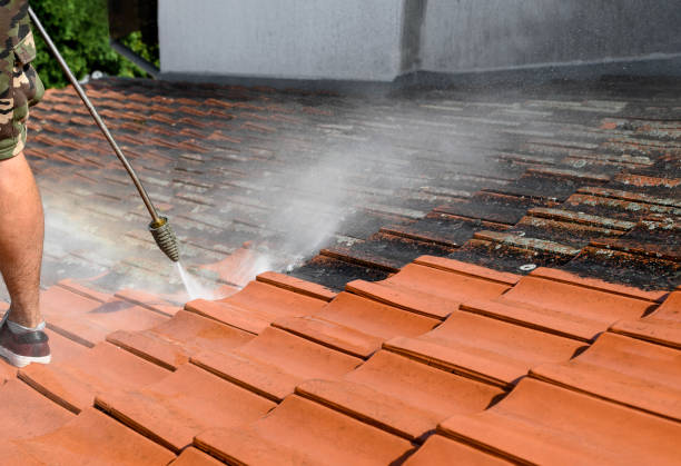 Best Local Pressure Washing Services  in Kenilworth, NJ